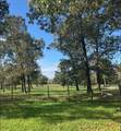12494-725B Hill Creek Road - Photo 16