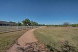 11690 Renaissance Drive - Photo 18