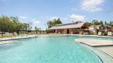 13487 White Ibis Street - Photo 16