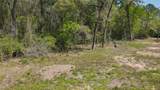 3805 Piney Point Road - Photo 22
