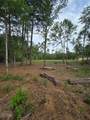 3805 Piney Point Road - Photo 6