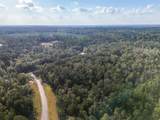 11615 Dawn Tree Lane - Photo 4