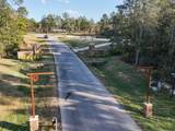 11615 Dawn Tree Lane - Photo 6