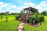 17126 Hamill Drive - Photo 37