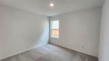 29018 Rustic Windmill Way - Photo 30
