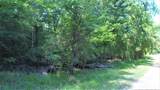 TBD Forest Road - Photo 4