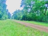 TBD Forest Road - Photo 6