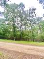 TBD Forest Road - Photo 7