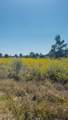 388 County Road 5017 - Photo 2