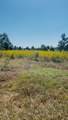 388 County Road 5017 - Photo 3