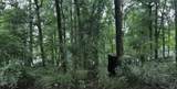 TBD Mudd Street - Photo 1