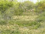 Lot 23 Pr Frio Estates Drive - Photo 4
