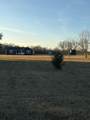 6047 Creek Road - Photo 3