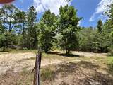 1603 Dammom Lane - Photo 19