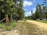 1603 Dammom Lane - Photo 25