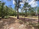 1603 Dammom Lane - Photo 32