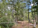 1603 Dammom Lane - Photo 8