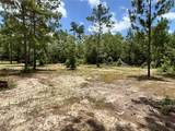 1603 Dammom Lane - Photo 9