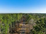 545556 Grand Pine Circle - Photo 5