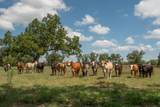 6887 Von Ormy Road - Photo 41