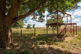 6887 Von Ormy Road - Photo 42