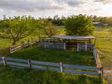 000 Fm 1696 - Photo 25