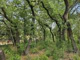 2706 Pace Bend Road - Photo 22