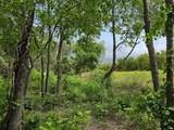 2706 Pace Bend Road - Photo 24