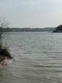 13200 Lake Conroe Bay Road - Photo 5