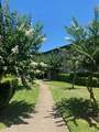 8315 Jorine Drive - Photo 14