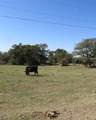 7538 Rocky Ridge Lane - Photo 4