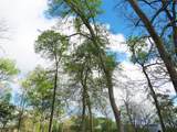 255 Siedel Road - Photo 15