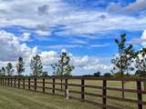 LOT 7 Old Columbus Road - Photo 5