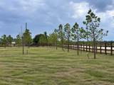 LOT 7 Old Columbus Road - Photo 7
