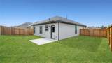 25703 Northpark Palm Drive - Photo 17