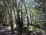 Lot 822 Eskimo Lane/ Path - Photo 4