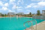 30722 Wicklow Gardens Drive - Photo 41