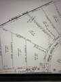 11766 Grand North Road - Photo 3