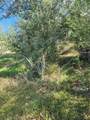 000 Fm 445 - Photo 13