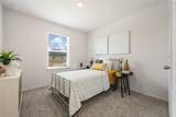31227 Harp Ridge Drive - Photo 15