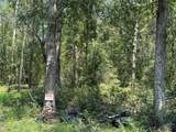 19959 Old Highway 105 - Photo 11