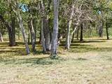 32111 Amberjack Drive - Photo 10