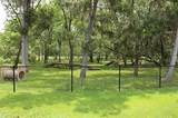 32111 Amberjack Drive - Photo 3