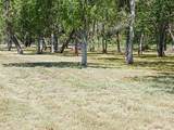 32111 Amberjack Drive - Photo 8
