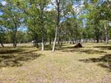32111 Amberjack Drive - Photo 9