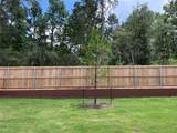 26151 Treetop Terrace Lane - Photo 33