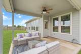 31202 Zacara Lane - Photo 38