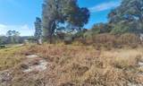 109 Folz Street - Photo 6