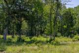 10649 Brushwood Cutoff - Photo 5
