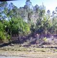 50 County Road 3479A - Photo 1
